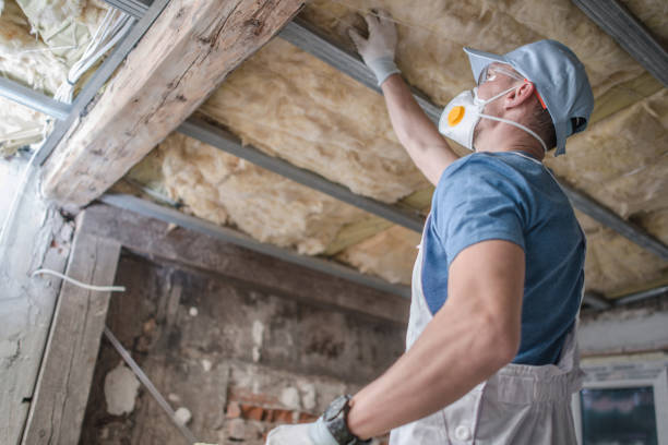 Best Insulation Contractor Near Me  in East Patchogue, NY